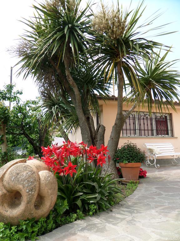 B&B Villino Lory Marino Habitación foto